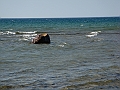 Western Michigan [2010] 859